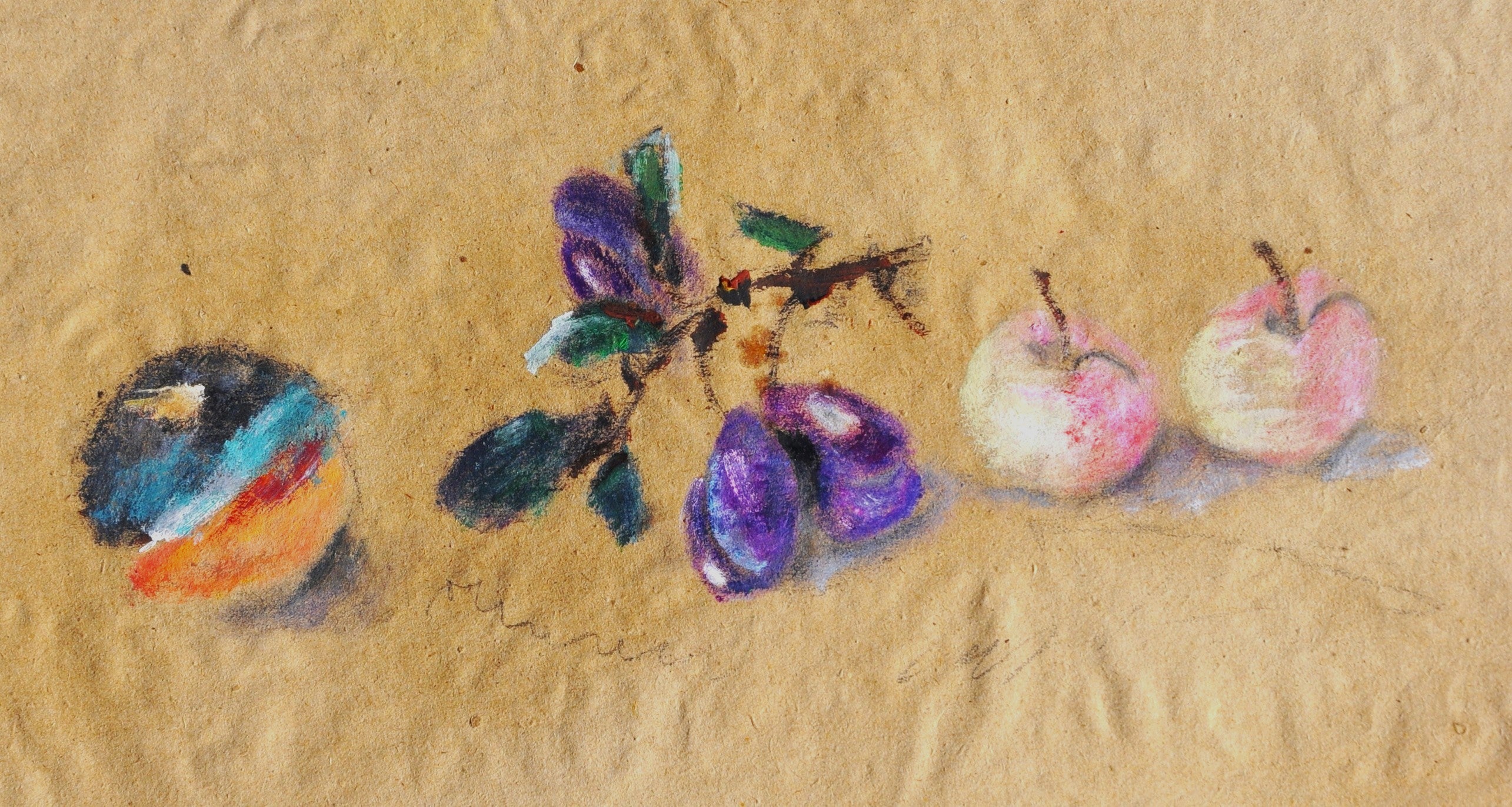 Il colore delle prugne 34x48 cm (13,3x18,8 in)