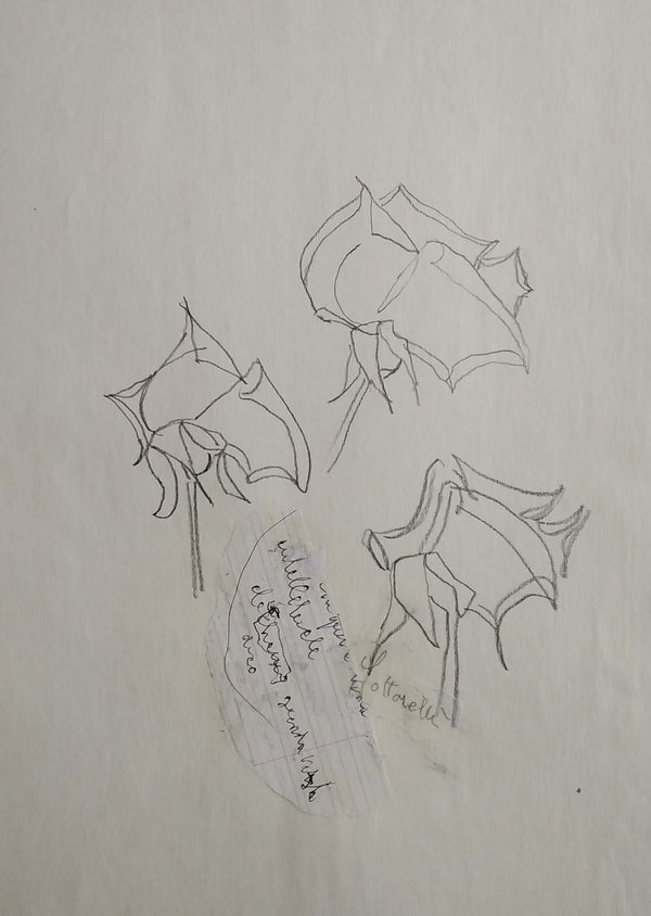 Poesia delle rose - Vista dell'opera d'arte senza cornice, certificazione inclusa.