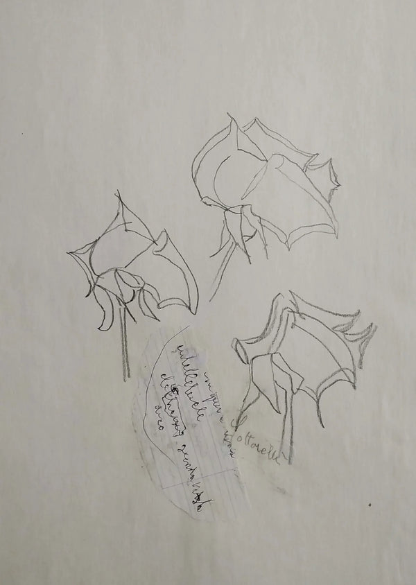 Poesia delle rose - Original Italian Drawing - Fondazione Gottarelli Italian Art