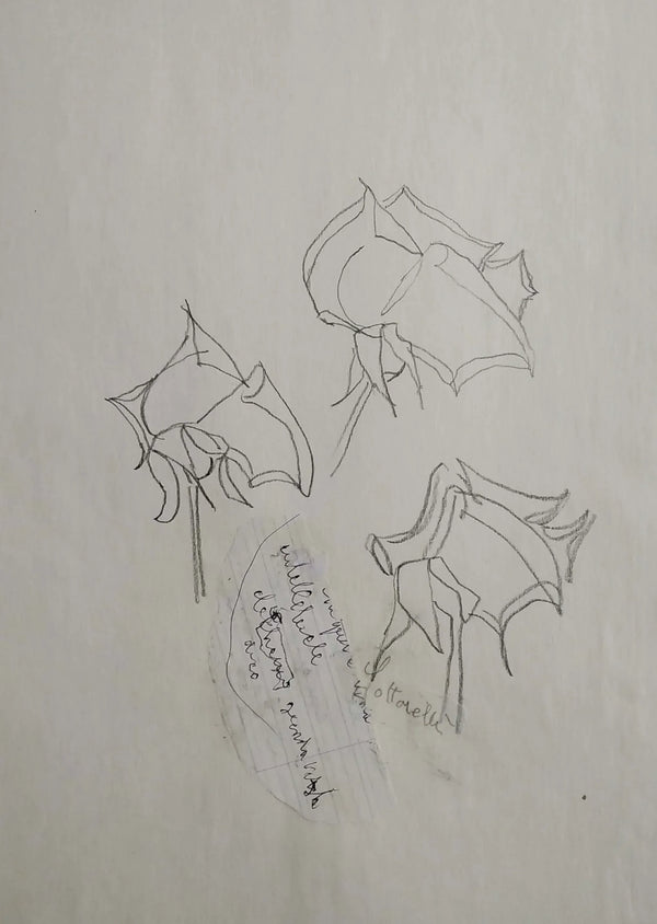 Poesia delle rose - Original Italian Drawing - Fondazione Gottarelli Italian Art
