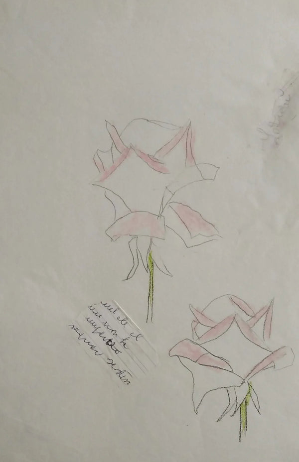 Rose aperte - Original Italian Drawing - Fondazione Gottarelli Italian Art