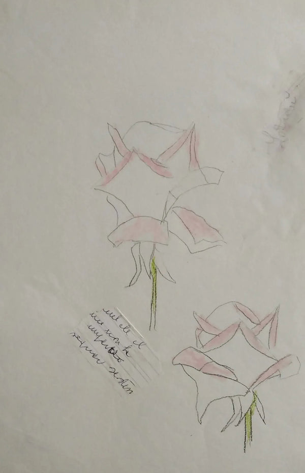 Rose aperte - Original Italian Drawing - Fondazione Gottarelli Italian Art