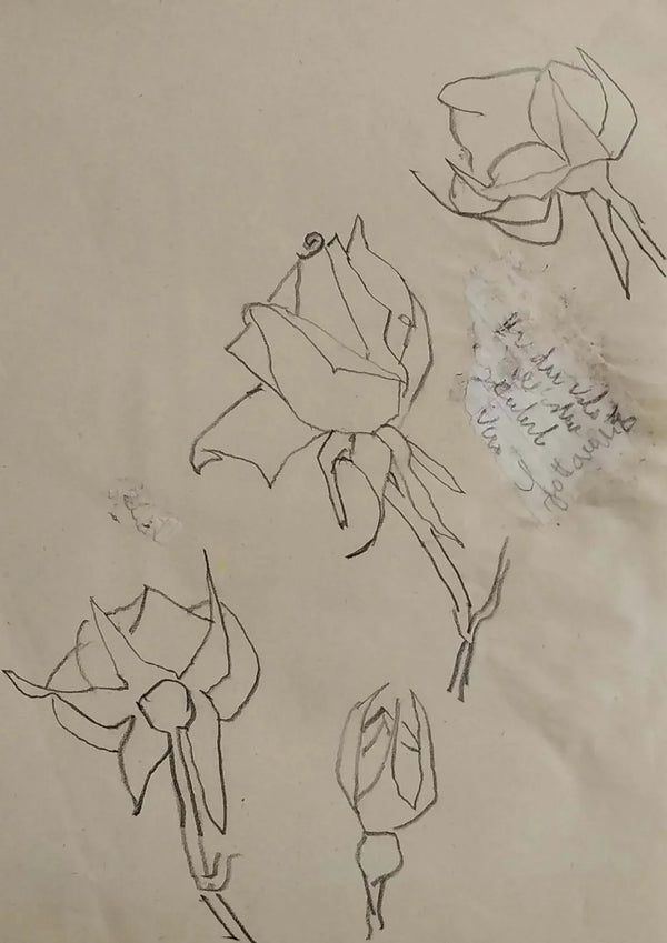 Rose nel tempo - Original Italian Drawing - Fondazione Gottarelli Italian Art