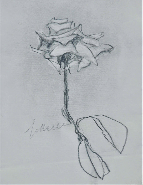 Solo una rosa - Vista dell'opera d'arte senza cornice, certificazione inclusa.