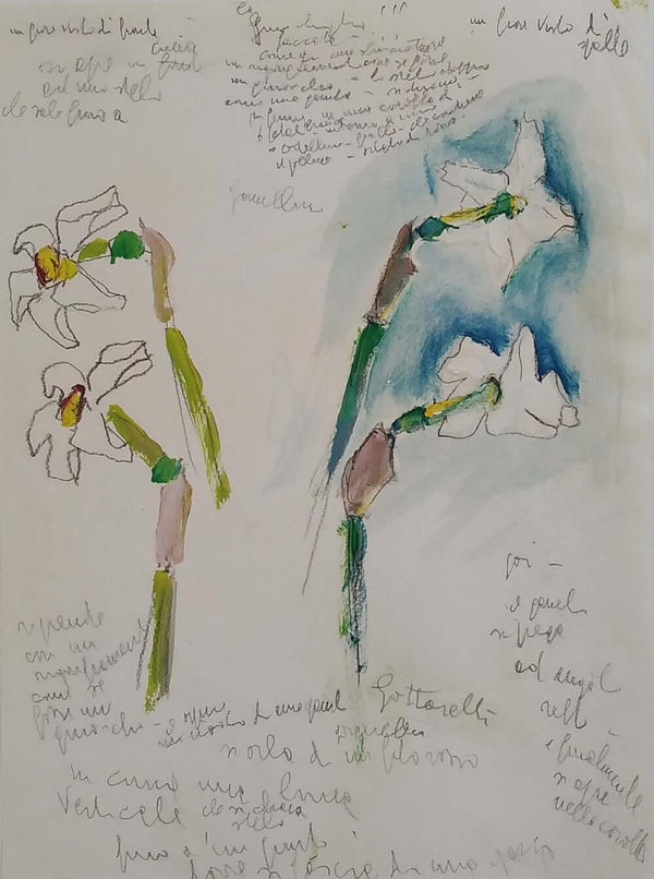 Stelo e corolla - Original Italian Drawing - Fondazione Gottarelli Italian Art