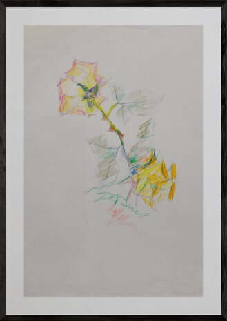 Voglia di dipingere una rosa - Opera d'arte originale matite colorate su carta di Tonino Gottarelli, 33x21 cm (12,9x8,2 in)