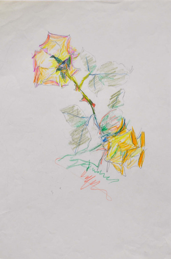 Voglia di dipingere una rosa - Vista dell'opera d'arte senza cornice, certificazione inclusa.