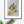 I petali delle rose - Illustrazione di un bouquet di fiori su carta, con dettagli raffinati e una composizione armoniosa.
