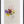 Il colore delle viole - Opera d'arte originale acrilico su cartone telato di Tonino Gottarelli, 30x20 cm (11,8x7,8 in)
