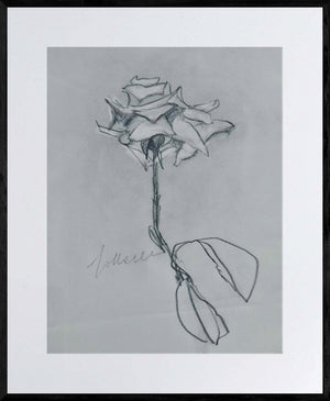 Solo una rosa - Opera d'arte originale matita su carta Tonino Gottarelli, 30x20 cm (11,8x7,8 in)