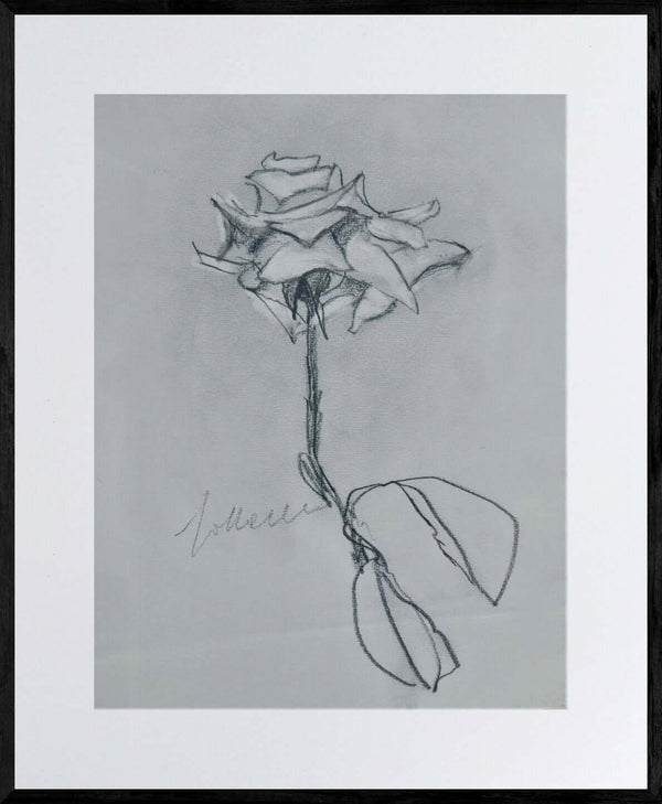 Solo una rosa - Opera d'arte originale matita su carta Tonino Gottarelli, 30x20 cm (11,8x7,8 in)