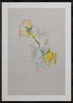 Voglia di dipingere una rosa - Opera d'arte originale matite colorate su carta di Tonino Gottarelli, 33x21 cm (12,9x8,2 in)