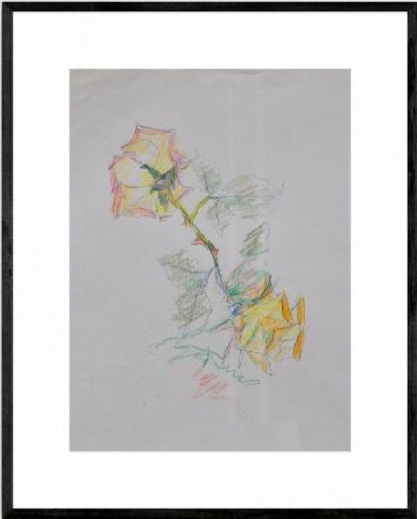 Voglia di dipingere una rosa 33x21 cm (12,9x8,2 in)